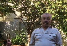 Виноделы на поэтов все похожи